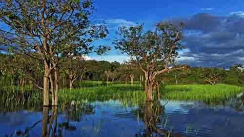 3 amazon & negro river cruise copy